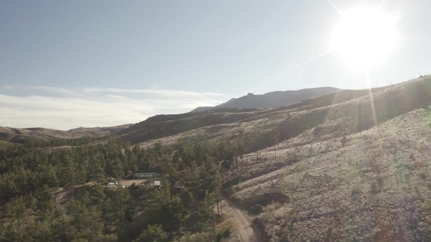 A mountain base with pine forest and strong sunlight in the sky