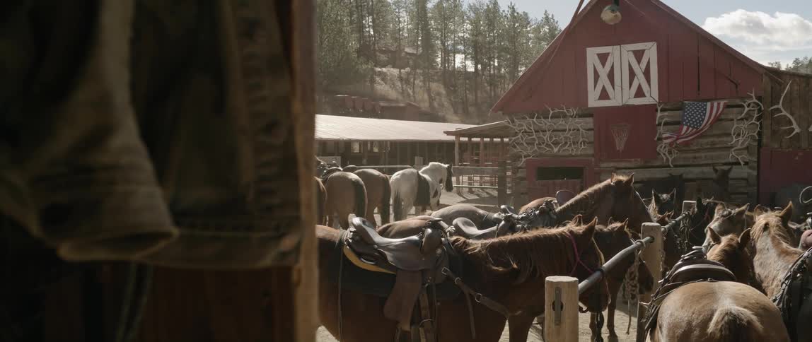 A clip of horses in the stable