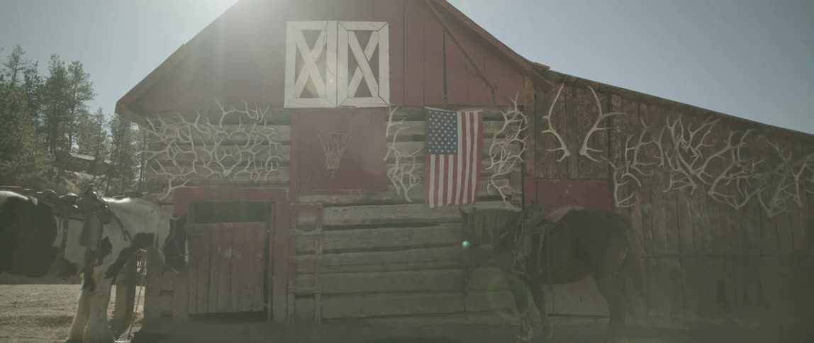 Horses in front of a barn with an american flag