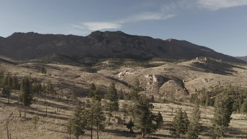 Aerial panorama of a landscape with trees and mountain ranges on the horizon