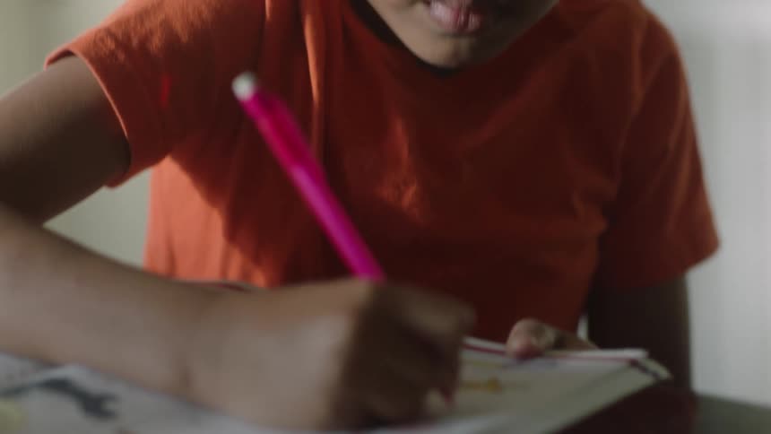Boy doing homework at home