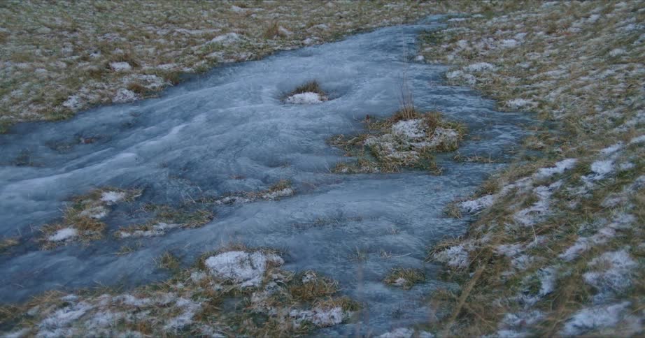 View of a dry ground with shrubs and a grayish color