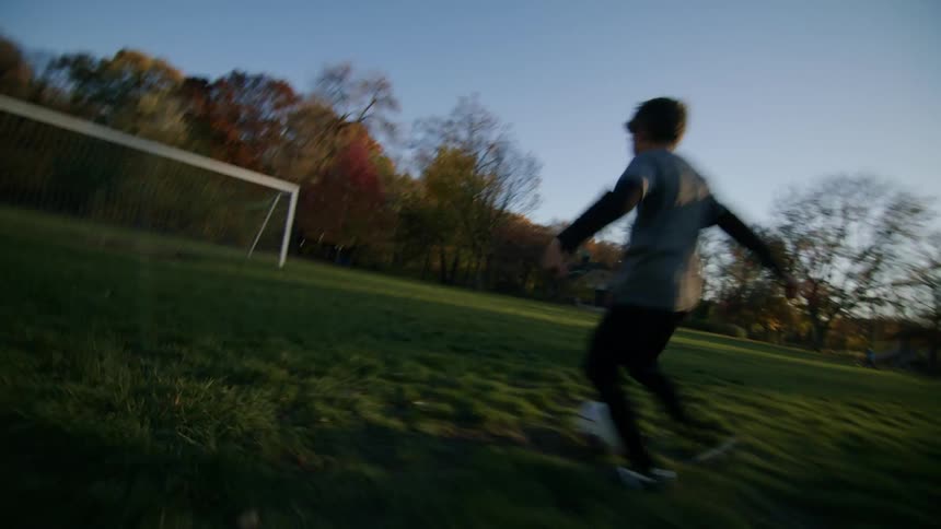 A football player kicking a ball into the goal