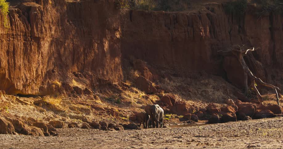 An adult and baby elephant drinking water in front of a cliff edge on a sunny day