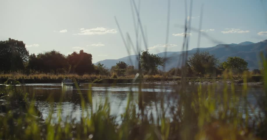 A rowing boat on a lake amidst plants and vegetation