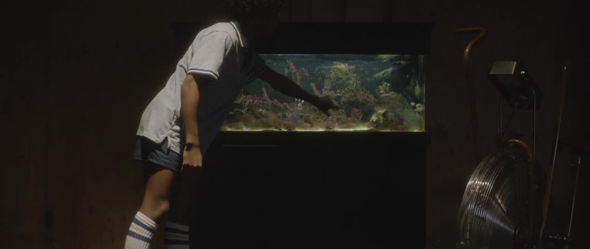 Boy walking in a dark room with an aquarium containing fish