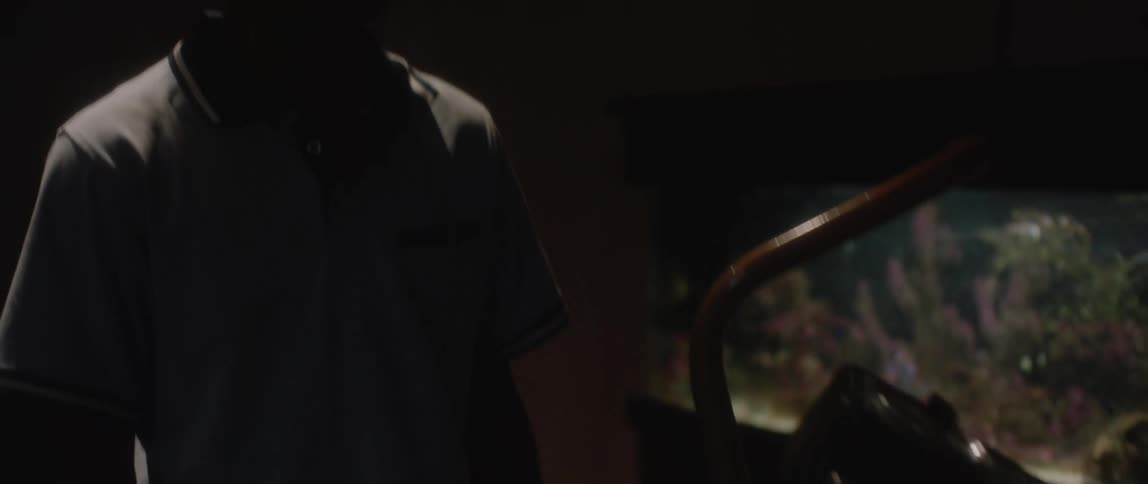 A clip of a teenager checking out the aquarium