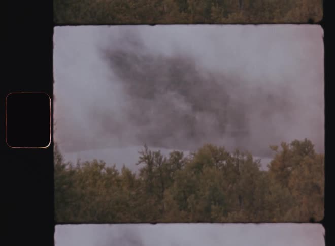 View of a forest with black smoke rising into the sky