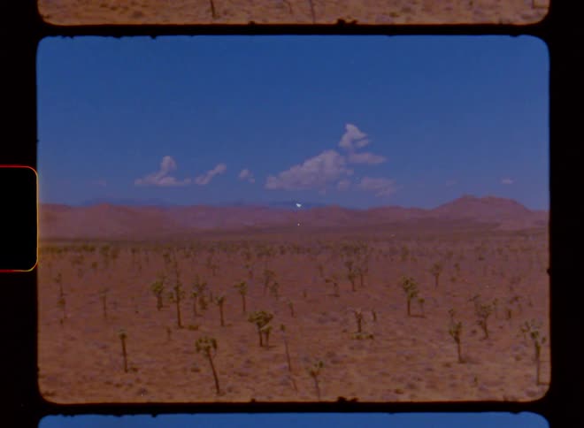 Small desert plants spread out across a flat desert lined with hills in the distance under a blue sky during the day