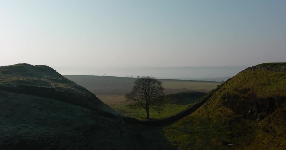 A solitary tree is located between two small hills in a remote area
