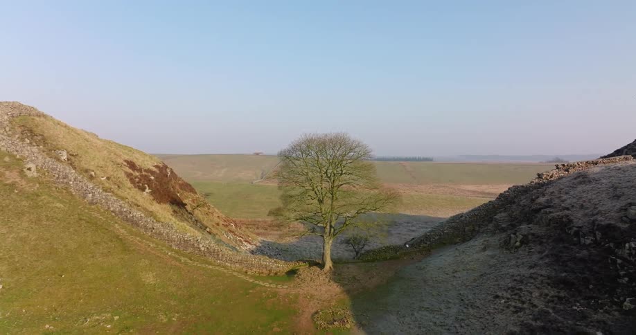 A single tree sits between the hills before the landscape