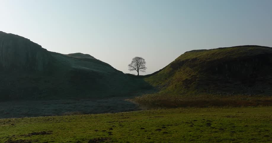 Sycamore Gap, Lone tree between two hills on a grassy hill with clear skies