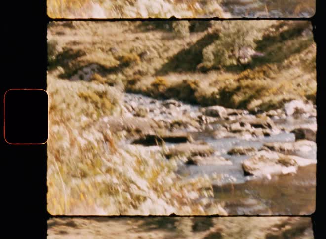 A stream between plains and mountains on a sunny day