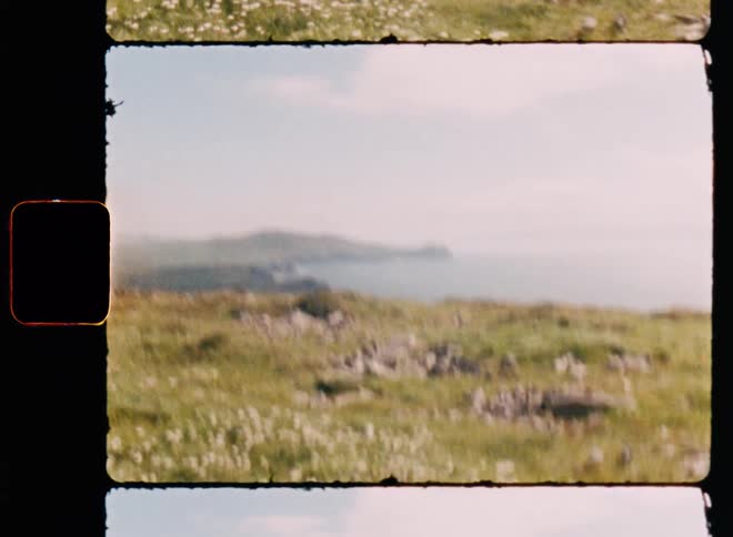 Field at the top of the mountain with the ocean in the background