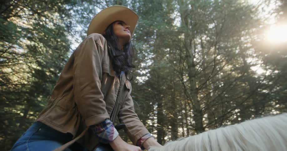 A lady on a horse in the woods