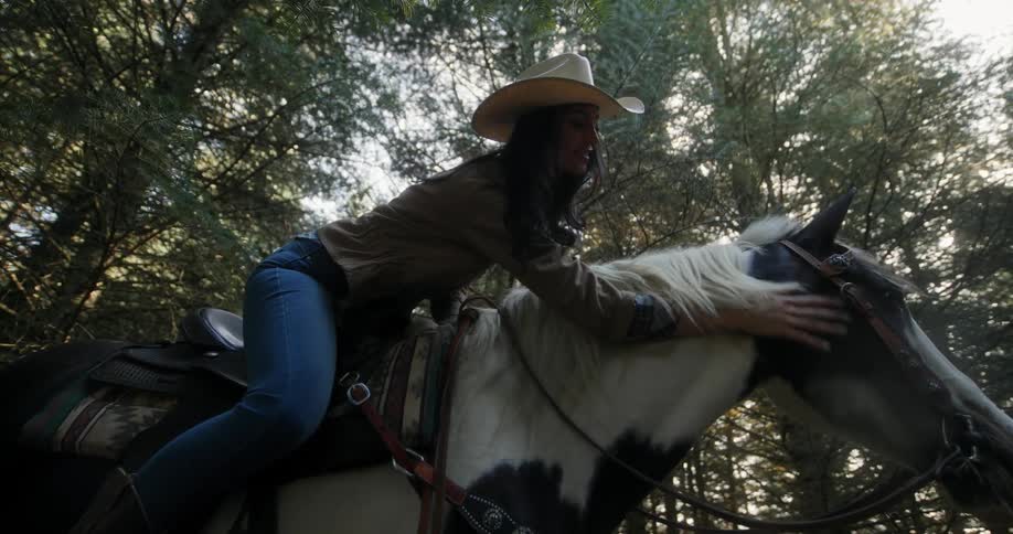 Sunlight shines through the tops of trees above a female horseback rider on the back of a horse bent forward petting its neck