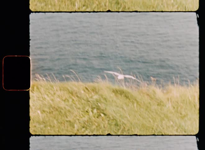 A seagul takes fly over the ocean caught on vintage film