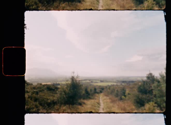 Panorama on a trail amidst nature