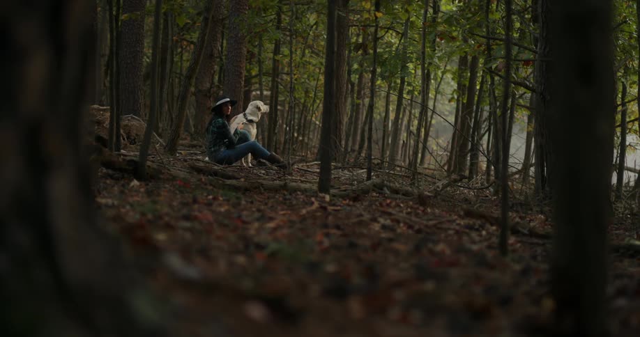 A woman is sitting on a fallen tree while petting her dog in a woodland area in the daytime