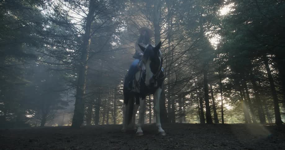 A woman is sitting on her horse in the woods
