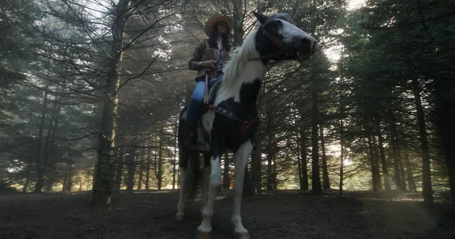 Cowgirl on top of a horse in the middle of a forest