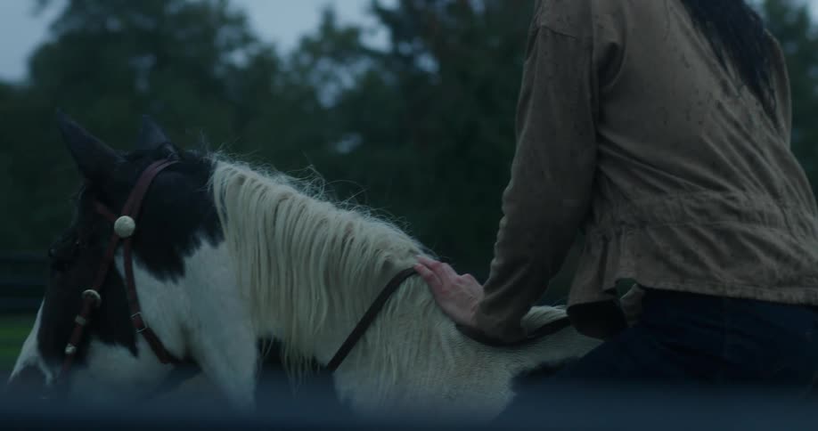 Woman on top of a horse in the rain
