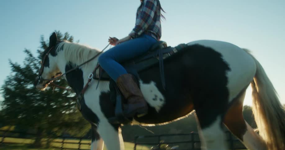 Cowgirl riding a horse in the middle of a pasture