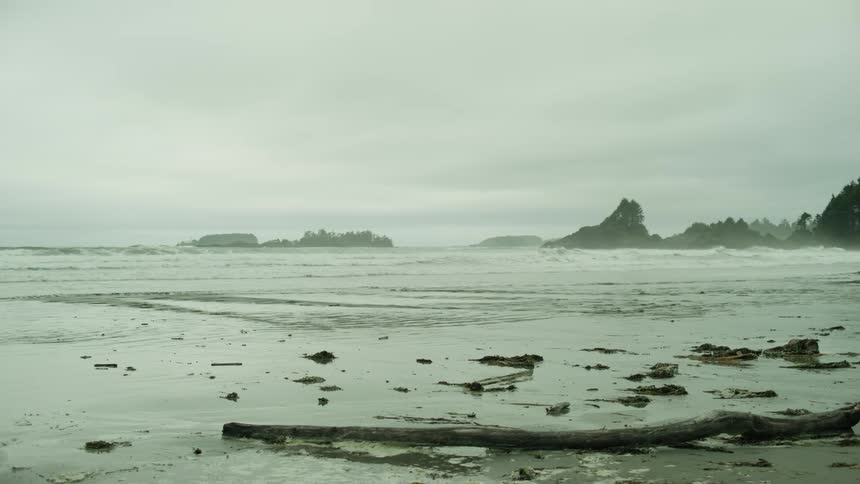 A heavy fog is on the beach