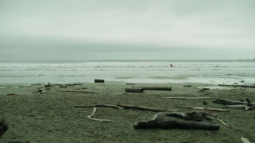 Sticks scattered on the sandy beach near the sea on a cloudy day