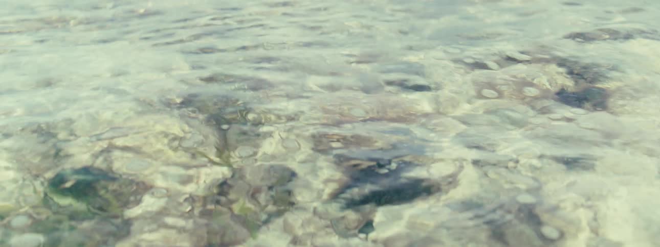 Stones at the bottom of the sea with crystal clear waters