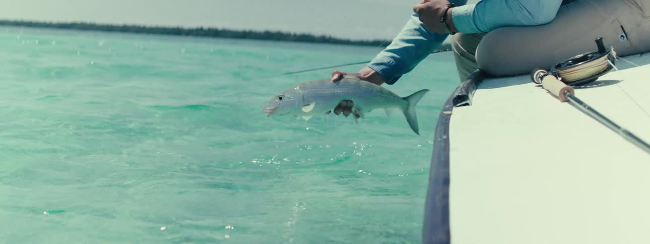 A person in a boat is putting a fish in the water and taking it out