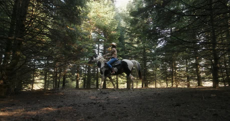 Woman riding a horse in the middle of a forest during the day