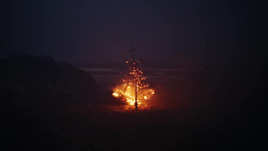 A tree burning at night