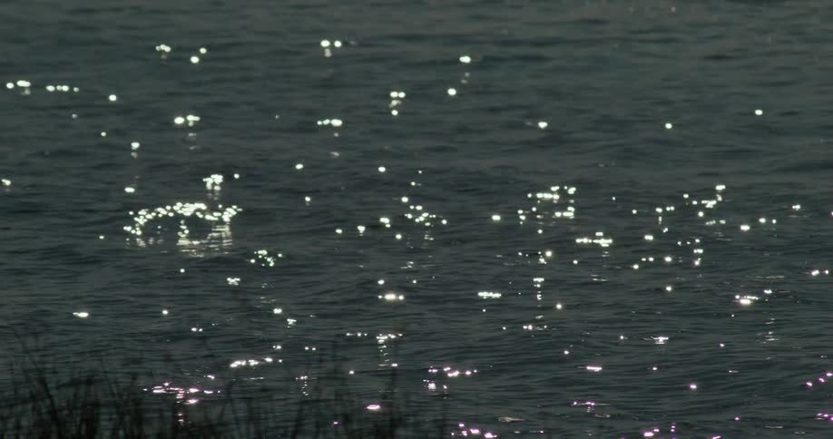 A body of water with a lot of sparkles on it