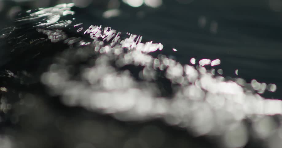 A detailed shot of a body of water capturing the subtle ripples on its surface