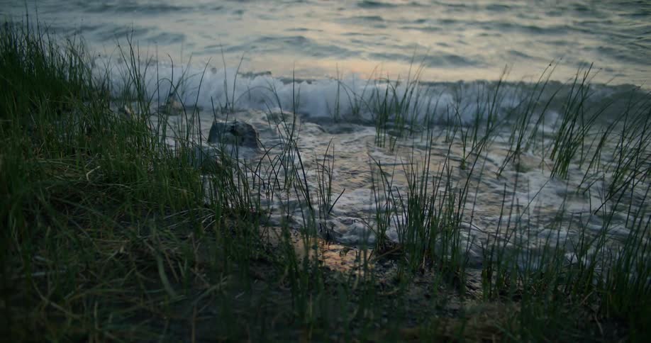 Grassy seaside with gentle waves crashing on the shore