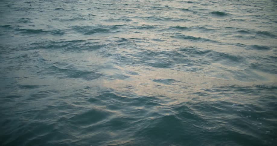 Ripples on the surface of a calm body of water