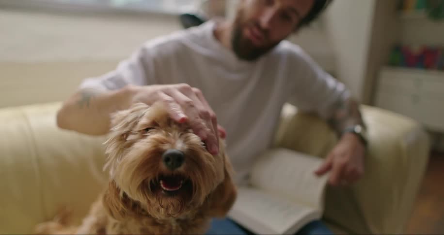 A man in jeans adorned with a tattoo sits on a beige couch in a living room petting a brown dog and engrossed in a book