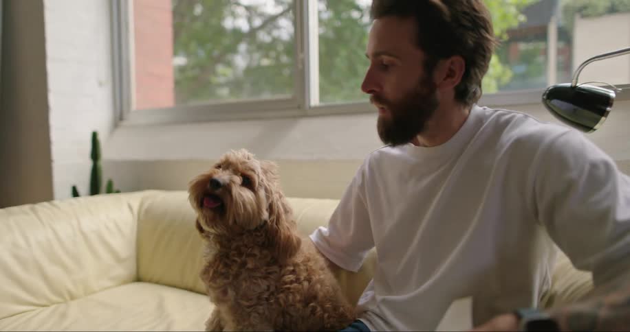 Bearded man with a white t shirt and jeans pets and kisses a brown dog sitting on the beige couch in the living room