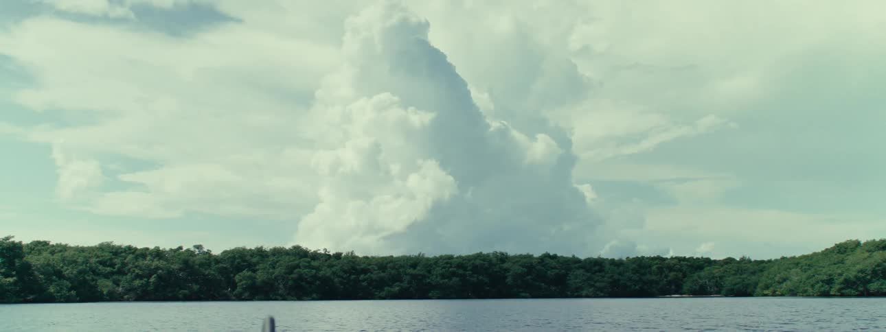 Panorama of a river surrounded by vegetation in a day