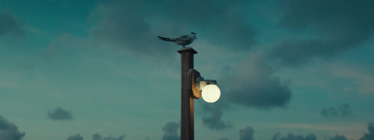 It passed by a lamppost in a dark early morning sky