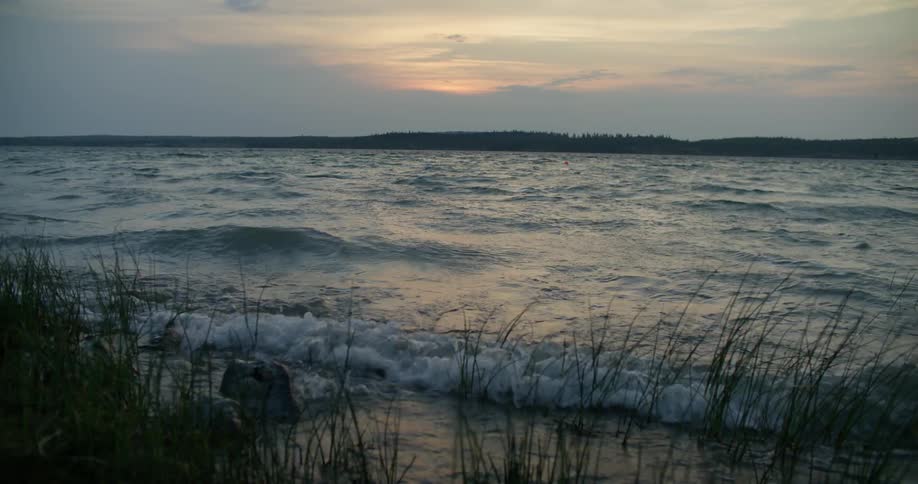 Waves hit the shore where grasses are growing above the water