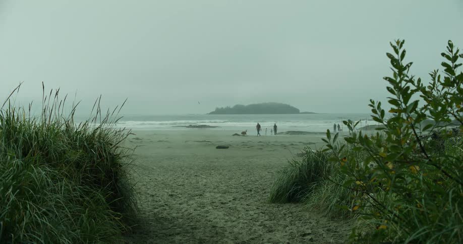 Two people walk their dog at the beach on a breezy and cloudy day