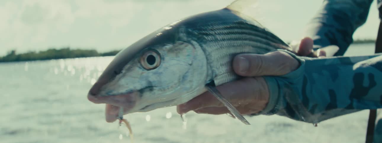A man is standing in water while holding a fish he caught in the lake