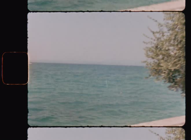 Stone bench sits on shore next to a small tree