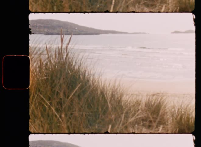 Panorama of a beach with vegetation and calm waves