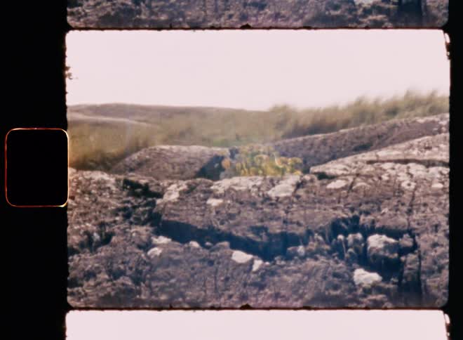 The grass is over the stones
