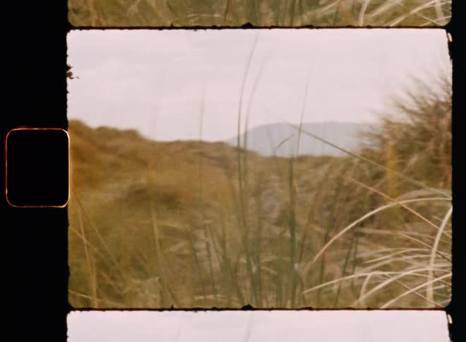 Wind blows through grass on hills with foggy mountain on the horizon