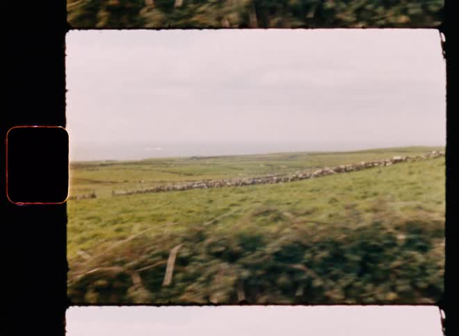 Field at the seaside with a cloudy horizon