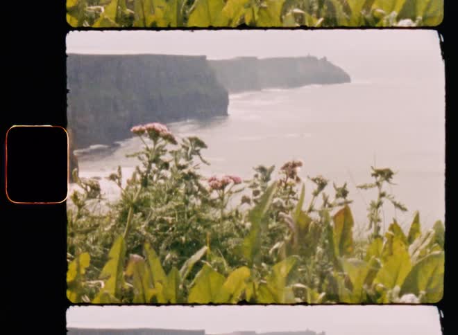 Various plants and vegetation on top of a mountain and below is the sea